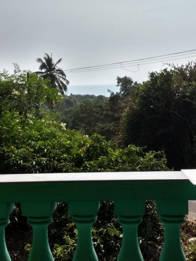 Agonda Green House Ngoại thất bức ảnh